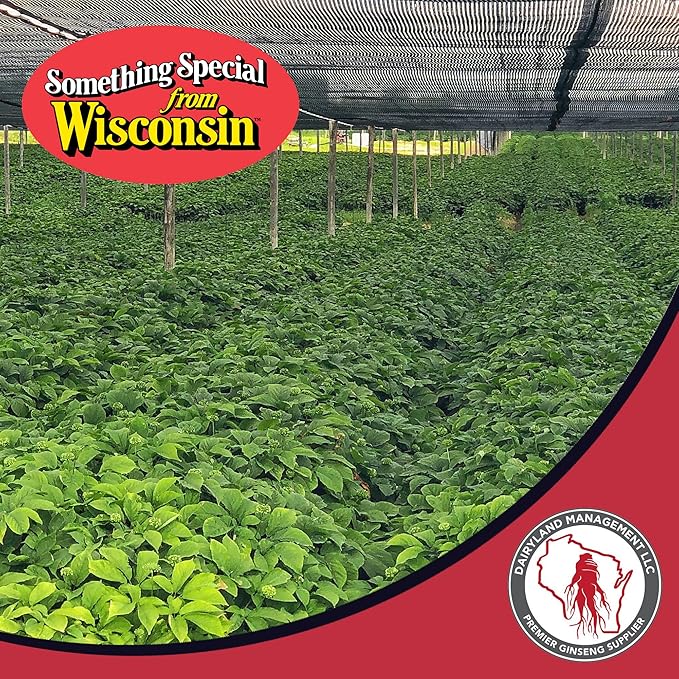 Dairyland American Ginseng Slices and Powder - 16 oz Pack Each of Wisconsin Ginseng – Direct from Farmer to Consumer 西洋参