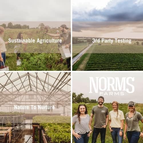 Norm's Farms Black Elderberry Wellness Syrup + Honey, Cinnamon, & Cloves - Natural Immune Support - Kosher, Gluten Free, Non-GMO - 3PK 8 Oz. Bottles