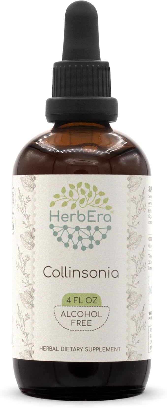 Collinsonia B120 Alcohol-Free Herbal Extract Tincture, Wildcrafted Stoneroot (Collinsonia Canadensis) Dried Root (4 fl oz)