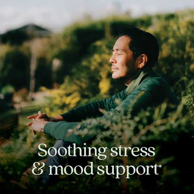New Chapter Perfect Calm - Daily Multivitamin for Stress & Mood Support with B Vitamins + Holy Basil + Lemon Balm + Organic Non-GMO Ingredients - 144 Count