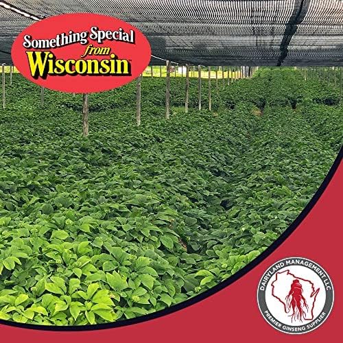 Dairyland American Ginseng Powder 16 oz and Capsules 150 ct of Wisconsin Ginseng – Direct from Farmer to Consumer 西洋参