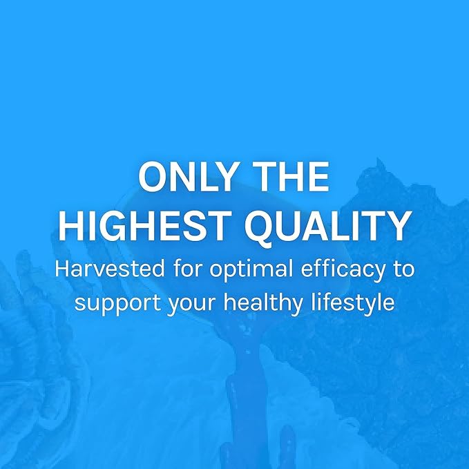 Host Defense Breathe* Capsules - Immune & Respiratory Support Mushroom Supplement - Herbal Lung Health Supplement with Chaga, Reishi & Cordyceps - 30 Capsules (15 Servings)*