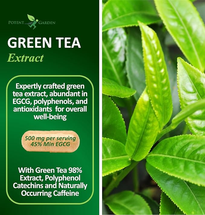 Potent Garden Green Tea Extract with EGCG Natural Energy, Mental Focus, Immune Support, Antioxidant and Healthy Heart Formula, Non-GMO 120 Green Tea Extract Capsules