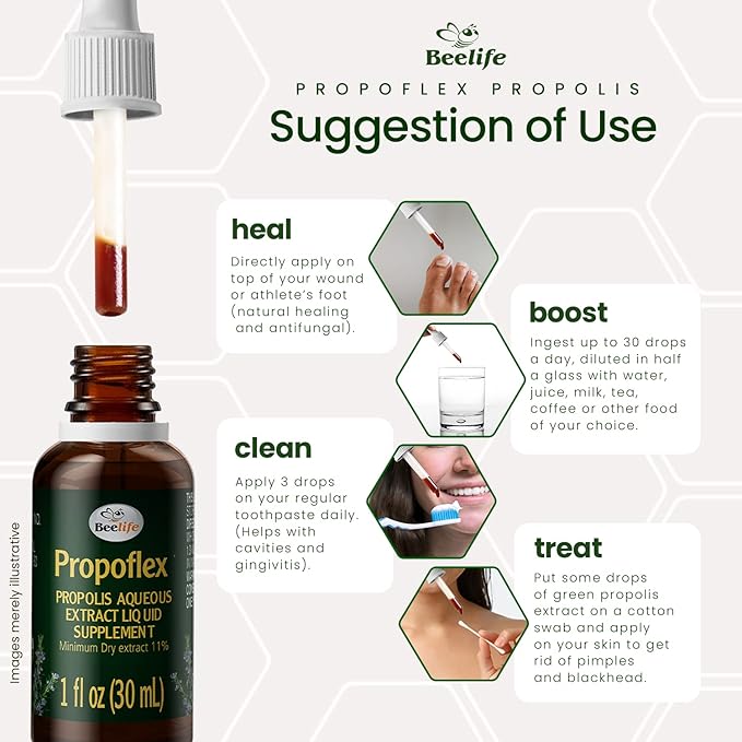 Beelife Propoflex Green Propolis Extract - No Alcohol Bee Propolis Tincture, High Artepillin-C Levels - Antioxidant-Rich Liquid Supplement for Wellness - Natural & Kosher - Made in Brazil, 1 Fl. Oz.