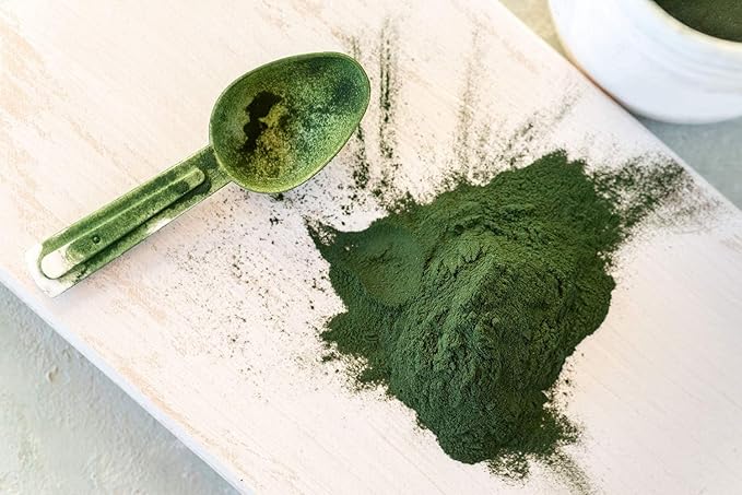 Food to Live Organic Chlorella Powder, 8 Ounces — Non-GMO, Kosher, Raw Green Algae, Vegan Superfood, Bulk, Pure Vegan Green Protein, Rich in Vitamins and Minerals, Great for Drinks, Broken Cell Wall
