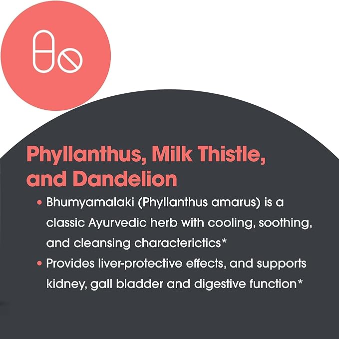 Allergy Research Group Milk Thistle Plus Supplement - Liver Health Support, Milk Thistle, Dandelion, Detox, Cleanse, Vegetarian Capsules - 120 Count