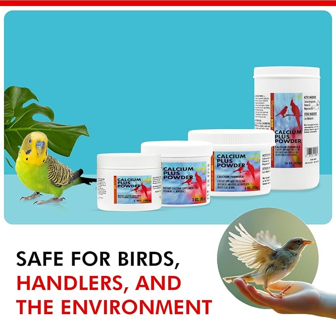Morning Bird Calcium Plus Powder for Birds 3 oz – Calcium Carbonate Powder with Magnesium Glycinate & Vitamin D – Bone Strength & Immune Support Supplement – Calcium Formula for All Bird Sizes