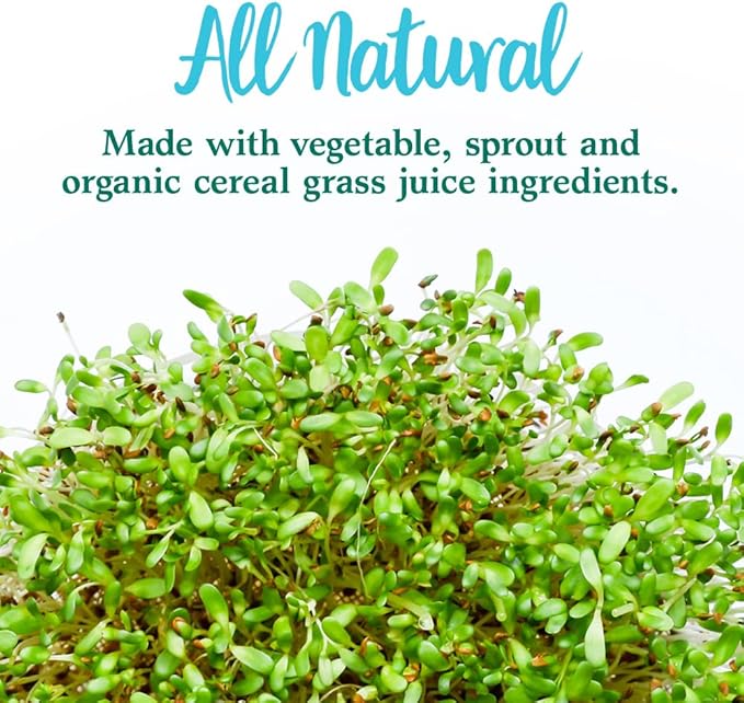 Garden Of Life Whole Food Vegetable Supplement - Perfect Food Green Superfood Dietary Powder, 600g