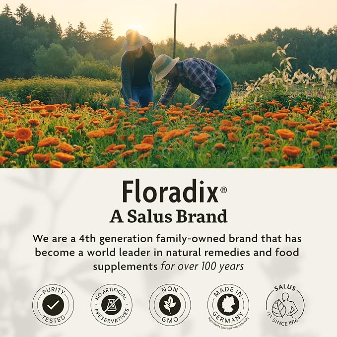 Floradix Floravital Liquid Iron & Vitamins Formula - Liquid Iron Supplement with B Complex Vitamins, Vitamin C & Herbs for Energy Support - Vegan, Gluten-Free, Yeast- Free, Non-GMO - 16.9 Fl Oz