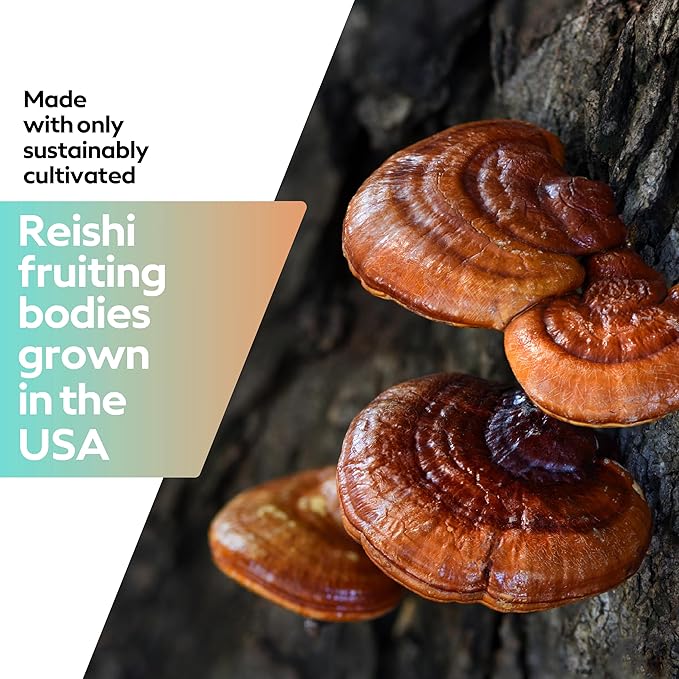 Troop Reishi Mushroom Gummies - Calming Gummies for Adults and Children - Focus Supplement for Stress, Relaxation, Immune Support - 4000mg Triple-Extracted Fruiting Body - Mixed Berry, 60 Count