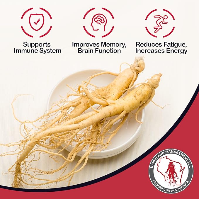 Dairyland American Ginseng Slices and Powder - 16 oz Pack Each of Wisconsin Ginseng – Direct from Farmer to Consumer 西洋参