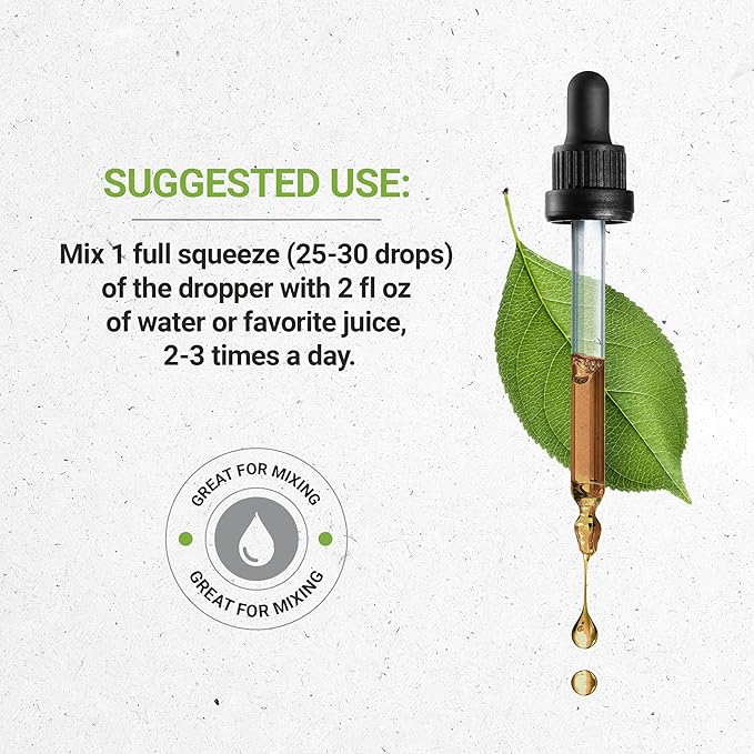 Stinging Nettle Root USDA Organic | Alcohol-FREE Extract, High-Potency Herbal Drops, Respiratory System | Made from 100% Certified Organic Stinging Nettle (Urtica Dioica) Dried Root 4 oz